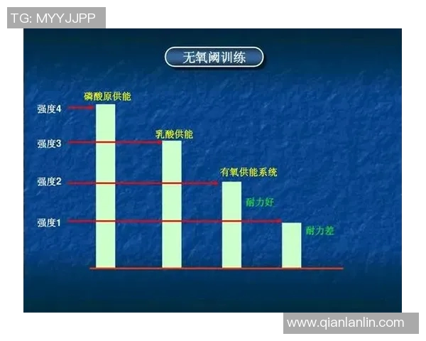 西安羽毛球队反击战术解析与实战应用探讨